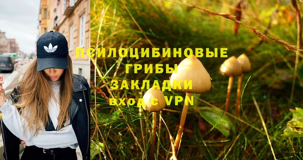 2c-b Медвежьегорск