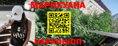 крисы Заводоуковск