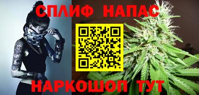 сатива Заволжье