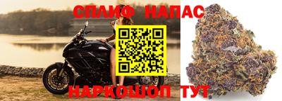 крисы Заводоуковск