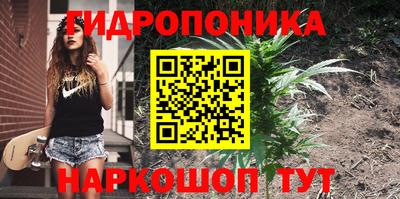 сатива Заволжье
