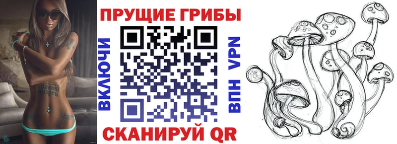 это состав  Краснокаменск  Псилоцибиновые грибы GOLDEN TEACHER 