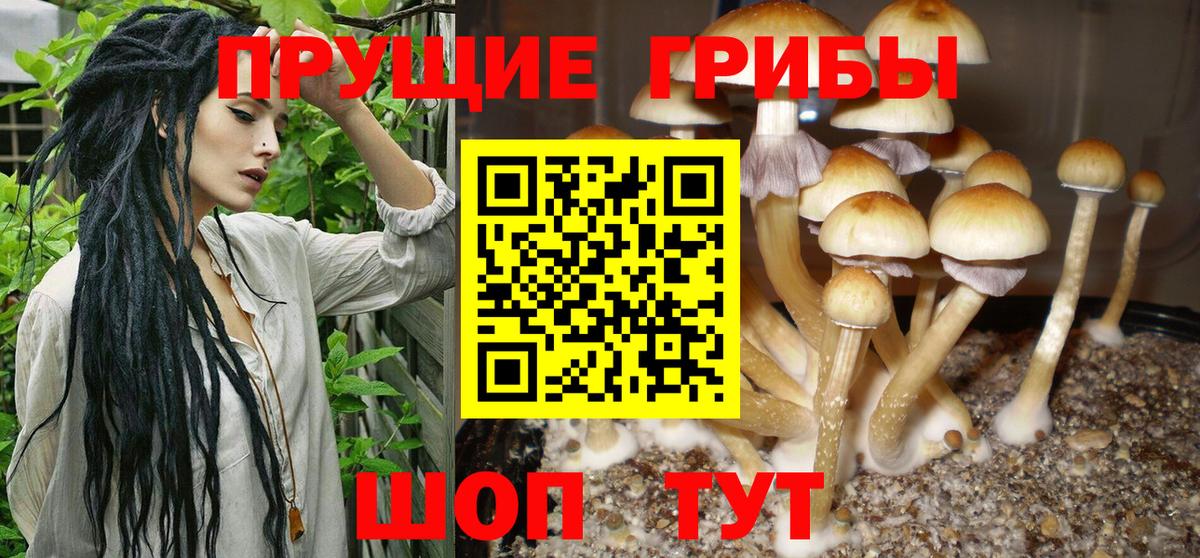 Псилоцибиновые грибы GOLDEN TEACHER Краснокаменск