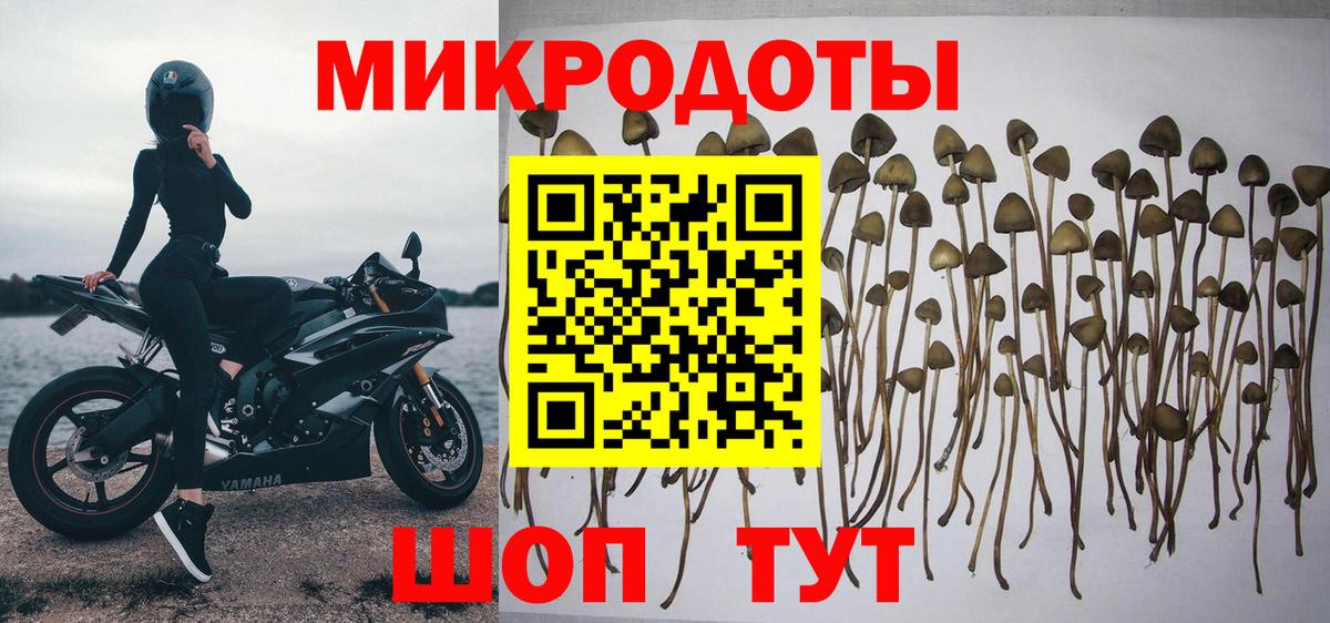 Псилоцибиновые грибы мухоморы Краснокаменск