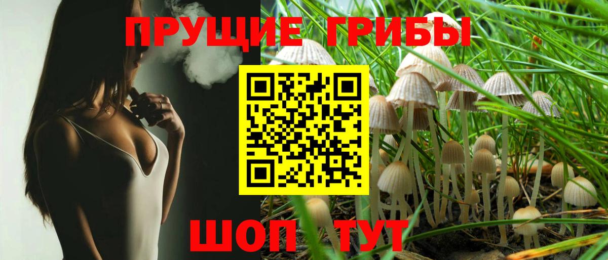 Псилоцибиновые грибы прущие грибы  Вход с VPN  Краснокаменск 