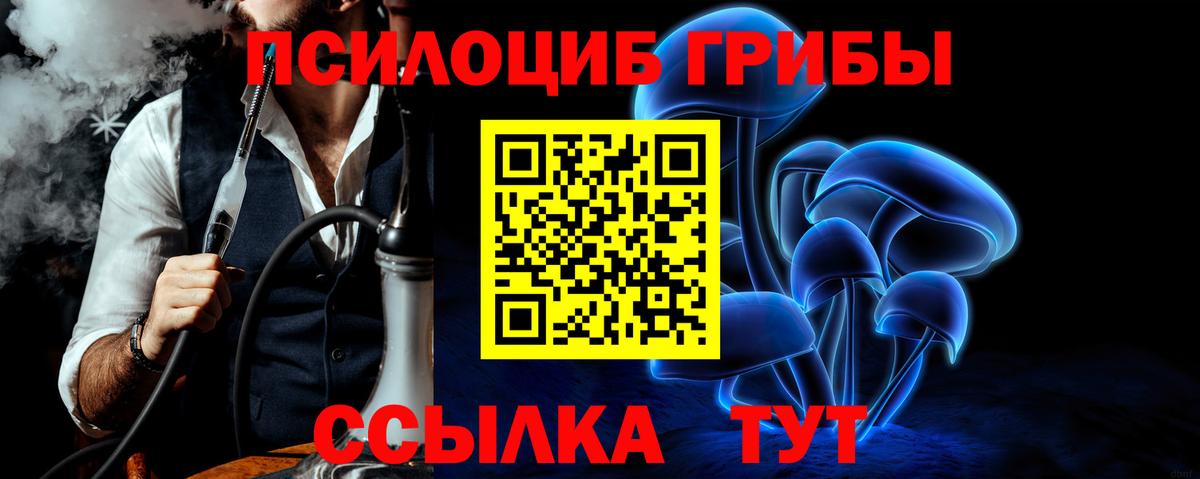 что такое   Галлюциногенные грибы Psilocybe  Краснокаменск  Галлюциногенные грибы GOLDEN TEACHER 